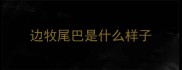 边牧尾巴是什么样子