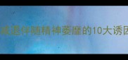 核心问题小狗食欲减退伴随精神萎靡的10大诱因及科学应对方案