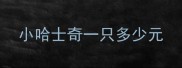 小哈士奇一只多少元