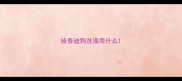 给泰迪狗洗澡用什么