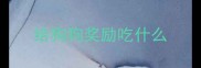 给狗狗奖励吃什么