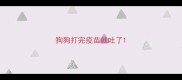 狗狗打完疫苗就吐了