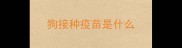 狗接种疫苗是什么