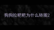 狗狗拉粑粑为什么转圈
