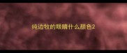纯边牧的眼睛什么颜色