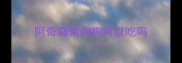 阿奇霉素狗狗可以吃吗