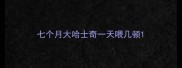 七个月大哈士奇一天喂几顿
