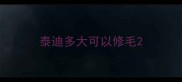 泰迪多大可以修毛
