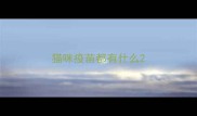 猫咪疫苗都有什么