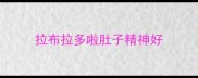 拉布拉多啦肚子精神好