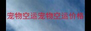 宠物空运宠物空运价格