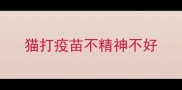 猫打疫苗不精神不好