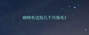 咖啡色边牧几个月换毛