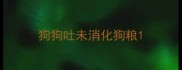 狗狗吐未消化狗粮