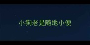 小狗老是随地小便