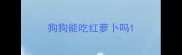 狗狗能吃红萝卜吗