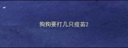 狗狗要打几只疫苗