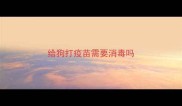 给狗打疫苗需要消毒吗