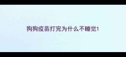狗狗疫苗打完为什么不睡觉