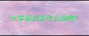 大学适合养什么宠物