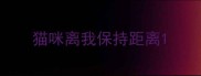 猫咪离我保持距离