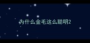 为什么金毛这么聪明