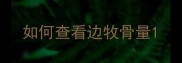 如何查看边牧骨量
