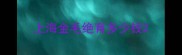 上海金毛绝育多少钱