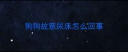 狗狗故意尿床怎么回事
