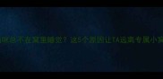 猫咪总不在窝里睡觉这5个原因让TA远离专属小窝