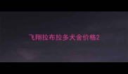 飞翔拉布拉多犬舍价格