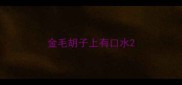 金毛胡子上有口水