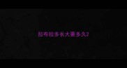 拉布拉多长大要多久