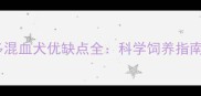 金毛拉布拉多混血犬优缺点全科学饲养指南与选购建议