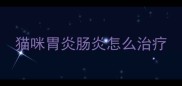 猫咪胃炎肠炎怎么治疗