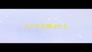 六个月比熊吃什么