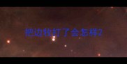 把边牧打了会怎样