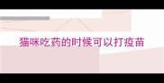 猫咪吃药的时候可以打疫苗