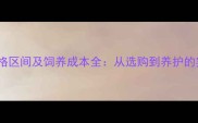 小泰迪价格区间及饲养成本全从选购到养护的实用指南