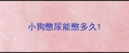 小狗憋尿能憋多久