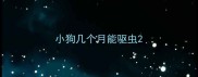 小狗几个月能驱虫