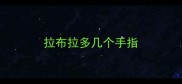 拉布拉多几个手指