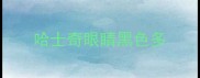 哈士奇眼睛黑色多