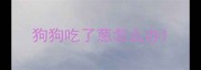狗狗吃了葱怎么办