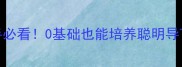 金毛训练教程新手必看0基础也能培养聪明导盲犬的5大黄金法则