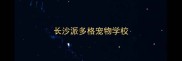 长沙派多格宠物学校