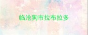 临沧狗市拉布拉多
