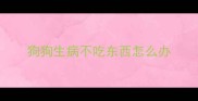 狗狗生病不吃东西怎么办