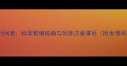 雪纳瑞自然受孕时间表科学繁殖指南与饲养注意事项附发情周期与健康管理