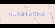 哈士奇容不容易养活